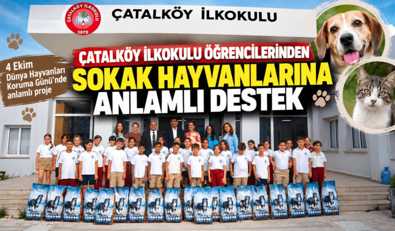 Çatalköy İlkokulundan Sokak Hayvanlarına Destek (1)