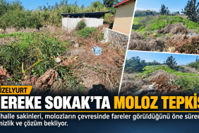 Güzelyurt’ta Moloz Tepkisi_ Bakımsız Arazi (1)