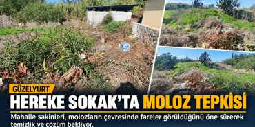 Güzelyurt’ta Moloz Tepkisi_ Bakımsız Arazi (1)