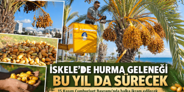 İskele’de Hurma Geleneği Sürüyor (1)