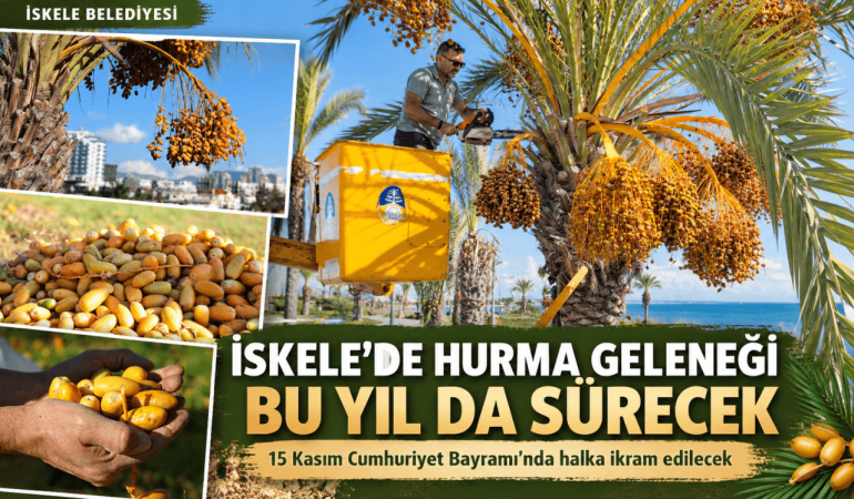 İskele’de Hurma Geleneği Sürüyor (1)
