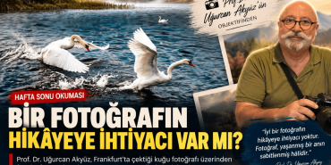 Kuğuların Sessiz Hikâyesi (1)