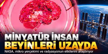 Minyatür Beyinler Uzayda (1)