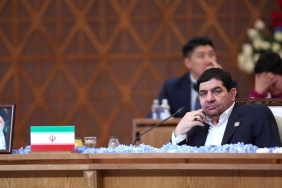 mohammad-mokhber-2498083.jpg