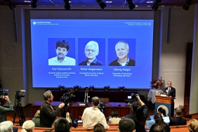 nobel-2493483.jpg
