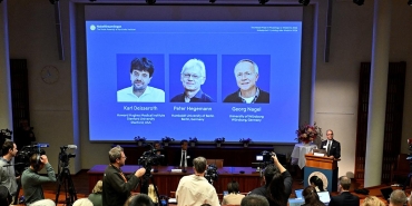 nobel-2493483.jpg