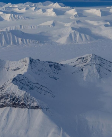 norvec-2496692.jpg